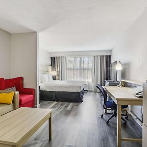Studio Suite